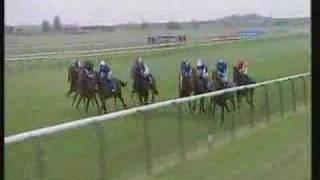 Shamardal - Dewhurst Stakes