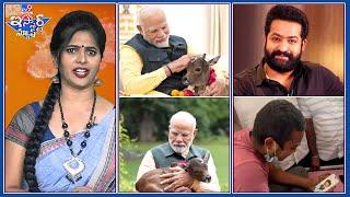 iSmart News  PM Modi సారింట్లో కుడికాలు పెట్టిన కొత్త చుట్టం  అభిమాని కోరిక తీర్చిన Jr.NTR -TV9