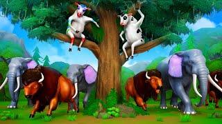 Crazy Cows Fun Play with Forest Animals - Funny Cow Cartoon Videos