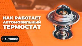 Как работает автомобильный термостат принцип действия  AUTODOC #autodoc #lifehack