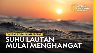 Suhu Laut Menghangat dari Waktu ke Waktu Apa Efeknya bagi Kehidupan? National Geographic Indonesia