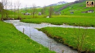 Appenzell Switzerland  the Valley of Rivers  #swiss #swissview