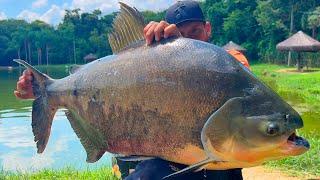 PANCADARIA NA SUPERFÍCIE LAGO POUCO EXPLORADO NO MAEDA