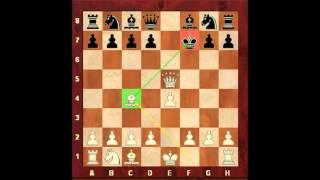 Chess for Beginners. How to Play with the King. Eugene Grinis. Chess