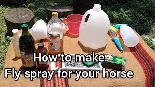 How to make homemade fly spray for your horse