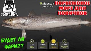 С КАЛИБРОМ НА МОРЕ ВЫГОДНЫЙ ФАРМ ДЛЯ НОВИЧКОВ? НОРВЕЖСКОЕ МОРЕ РУССКАЯ РЫБАЛКА 4 РР4