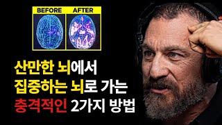 스탠포드 뇌과학 교수가 알려주는 집중력을 영구적으로 높이는 방법  앤드류 후버만 Andrew Huberman