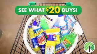 See WHAT $20 BUYS at Dollar Tree  Cleaning Supplies