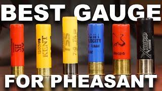 Best Shotshells for Pheasants - 10 vs 12 vs 16 vs 20 vs 28 Gauge