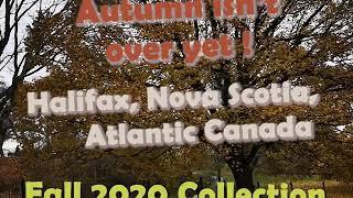 Fall 2020 Dillman Park Dartmouth Nova Scotia Canada