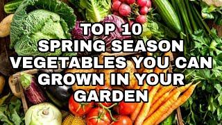 SPRING SEASON VEGETABLES  TOP 10 SEASON VEGETABLES  VEGETABLE GARDENING  THE NEW CREATIONS