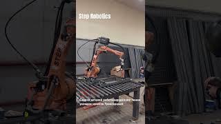 Производство линии роботизированной укладки мешков Трансконвей