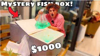 Ordering $1000 MYSTERY FISH Box From DARK WEB