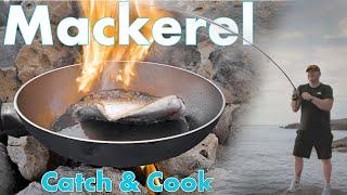 Spinning for Mackerel Catch and Cook from the rocks  Sea fishing UK