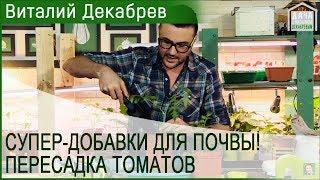 СУПЕР-ДОБАВКИ ДЛЯ ПОЧВЫ Как приготовить СУПЕР-ГРУНТ для пересадки томатов?