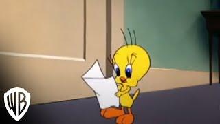 Looney Tunes Super Stars Tweety & Sylvester Feline Fwenzy  Admirer  Warner Bros. Entertainment