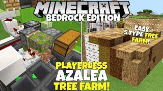 Minecraft Bedrock Fully AFK TREE FARM Tutorial 5 Type Azalea Tree Farm. MCPE Xbox PC PS4