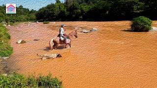 CRUZA EL RIO MAS GRANDE DE JARABACOA EN SU CABALLO PARA LLEGAR A SU CAMPO