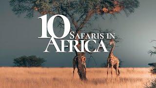 10 Most Beautiful Safaris to Visit in Africa   Safari Travel Guide