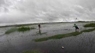 ตึกแห หว่านแห ทอดแห วันฝนตกจะหมานไหม