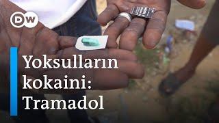 Afrikada yoksulların kokaini Tramadol - DW Türkçe