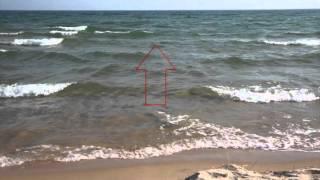 How to Identify a Rip Current in 1 Minute