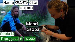 Серія 14  посадили з Настею кабачок і огірки... Знову Моя спроба №3  у кицьки пошкоджене око 