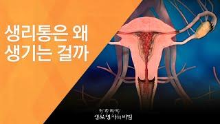 생리통은 왜 생기는 걸까 - 20120519_413회 방송_인체의 사이렌 통증 1편 - 생리통