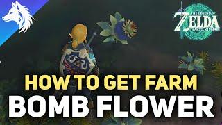 Where To Farm Bomb Flowers  Zelda Tears of The Kingdom