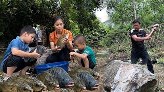 Single mom use hook to catch fish. Harvest fish during the rainy season and sell it  Vàng Thơm