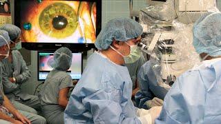 Американские врачи впервые в мире провели операцию по пересадке целого глаза человеку