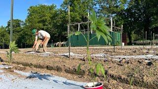 Seed to Sale Part 1 Hemp farmers split on future of the crop in Virginia