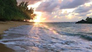 Hawaii Ocean Waves White Noise  Sleep Study Insomnia Relief  Beach Sounds 10 Hours