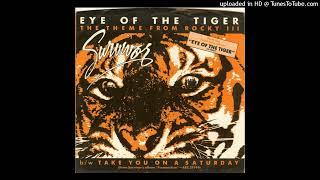 Eye of the Tiger by Survivor