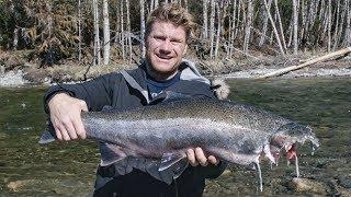 Steelhead Murder Mystery  WILD ANIMAL ATTACKS  NATURE CAN BE CRUEL  WHAT KILLED THIS FISH?