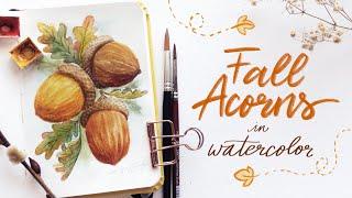 Drawing to Painting Acorns with Watercolor