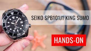 HANDS-ON Seiko Prospex Sea Automatic Divers SPB101J1 Sumo