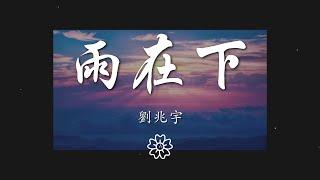 劉兆宇 - 雨在下『雨在下 雨在下 好想撥通你電話』【動態歌詞Lyrics】