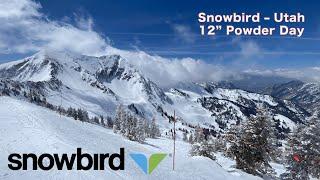 Snowbird 12 Powder Day  Utah  March 2022 #snowbird #skiutah #utah