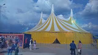 Московский цирк Никулина в Екатеринбурге