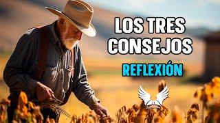 Los Tres Consejos  Reflexiones de Vida que Cambiarán tu Perspectiva  Historias con reflexion.