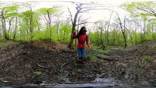 #360 video of my muddy #hunterboots in the forest #asmr