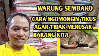 Warung sembako Cara ngomongin tikus @pedagangsembako 13573