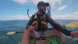 kayak fishing holiday northland new zealand