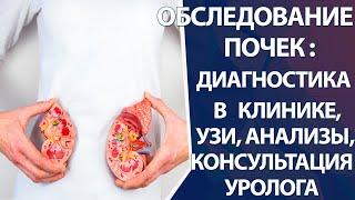 Обследование почек