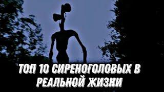 Топ 10 Сиреноголовых снятых на камеру  Топ 10 Сиреноголовых в реальной жизни