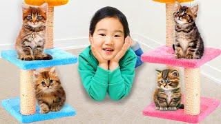 Boram merawat anak kucing  Kumpulan video tentang perilaku yang benar