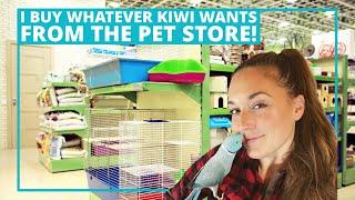 Adventure To The Pet Store With The Blue Chicken