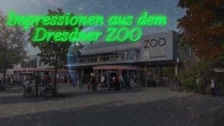 Endlich wieder einen Bummel durch den ZOO