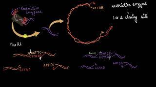 Multiple cloning sites & restriction enzymes  Biotechnology  Biology  Khan Academy